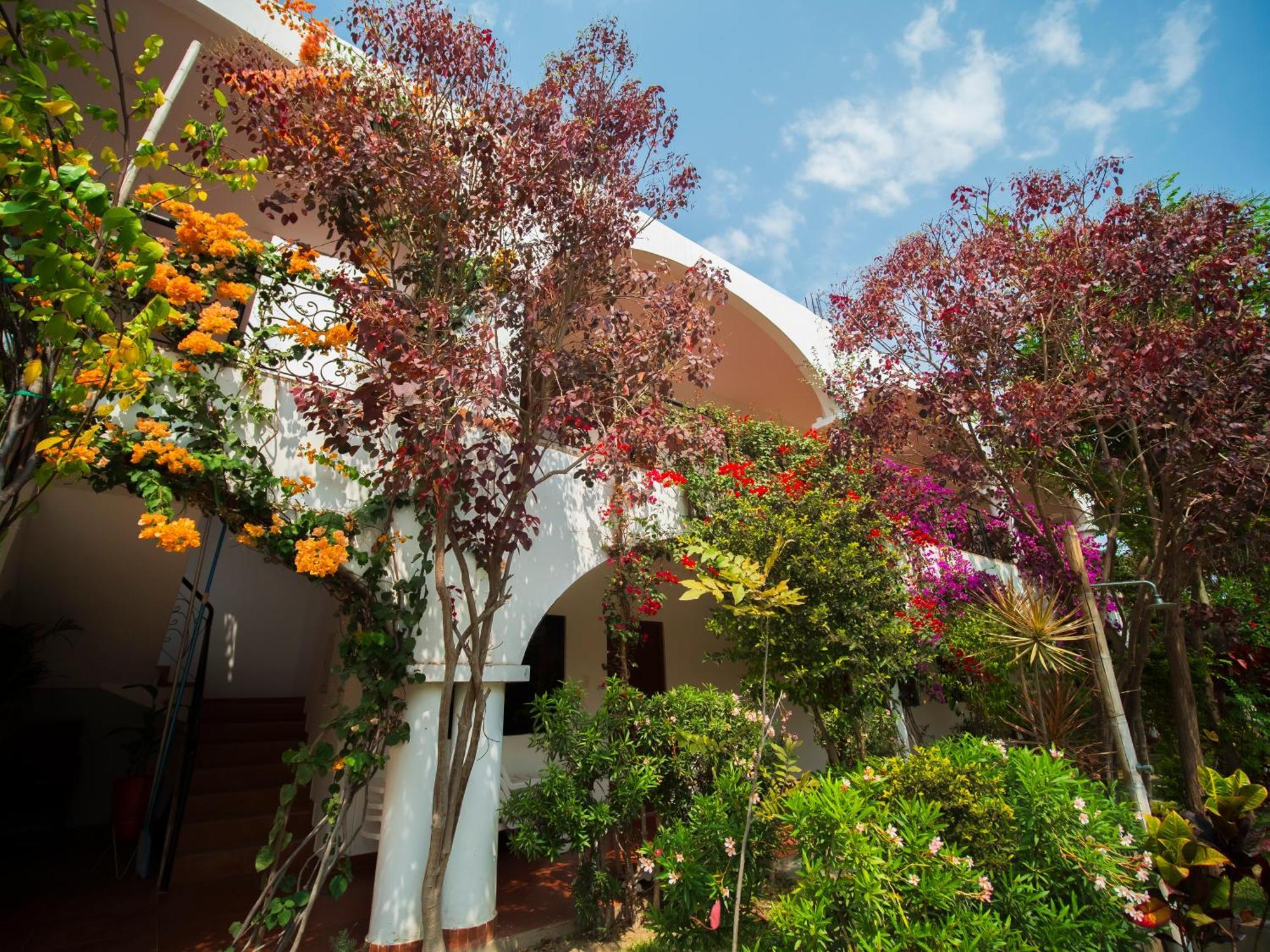 Casa Hotel Mamaluna Lunahuaná エクステリア 写真