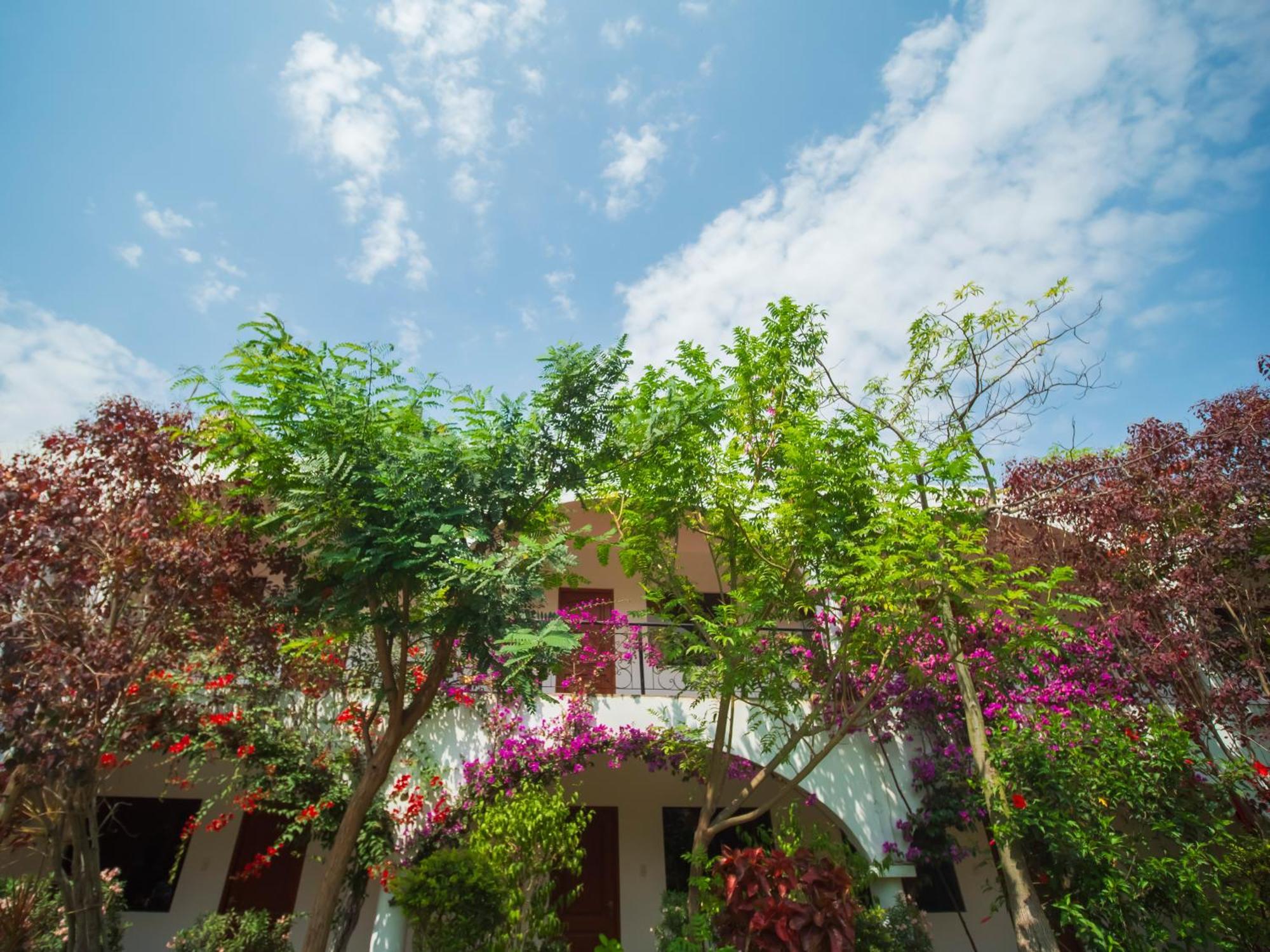 Casa Hotel Mamaluna Lunahuaná エクステリア 写真